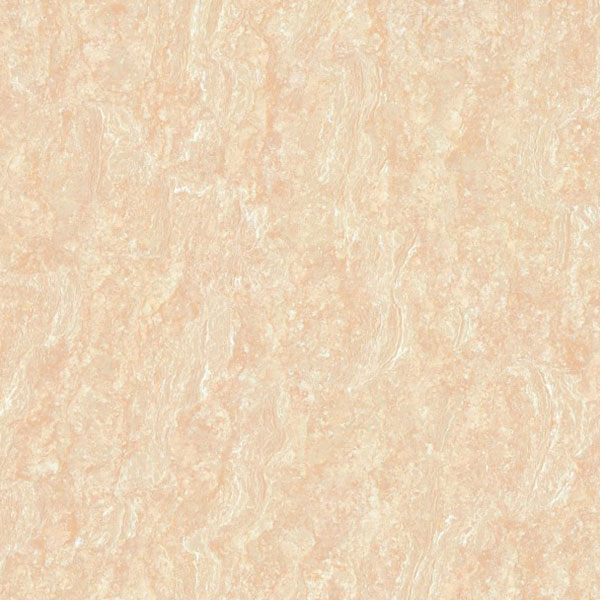 SUMMIT - CENTURY - SW868004